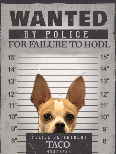 Item #14979902399443104664204166341598272567313800802694280279568744191858619449345 Media