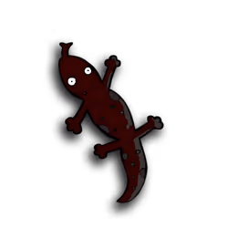Lizard ID 45