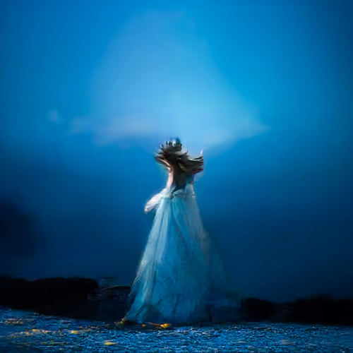 Item #14102882077376408625563496511892199093358336645069197561900844785913456230401 Media