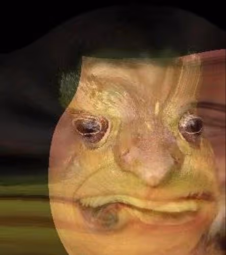 Untitled Collection #242890896