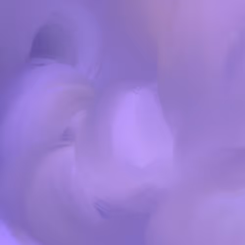 Item #54905278148183713110032817337166627126228631478155671374545753120876544393217 Media