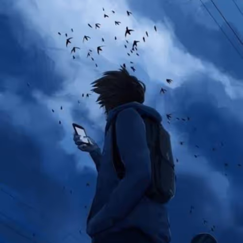 Sameedbashar Collection