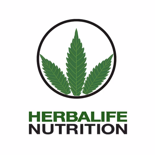 CRACK_art Collection