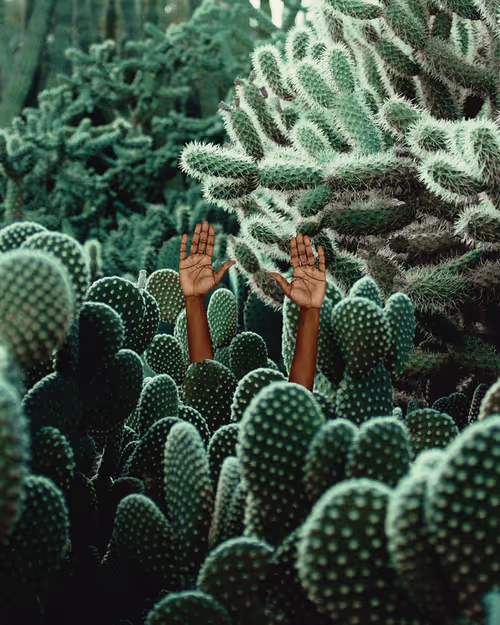 Item #10265671648122468476873680655396214649618748606022625962118217580589743079425 Media