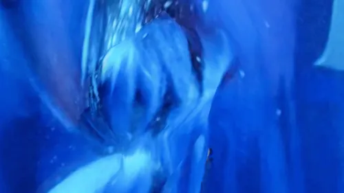 Item #94806608841459925224321611526658317642362207695454866298391900492044676628481 Media