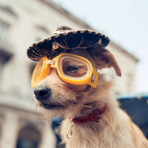 115410997171317155764443988652644107409655118750289847059354163012129918025729