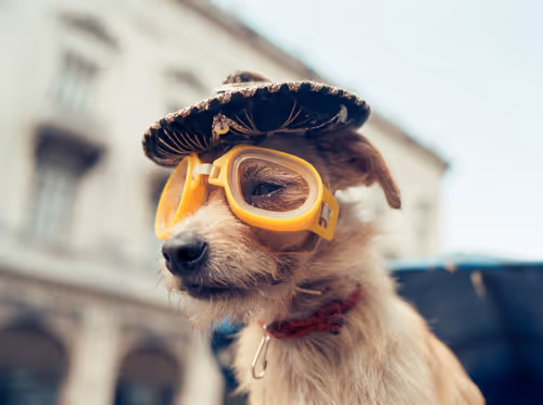 Item #115410997171317155764443988652644107409655118750289847059354163012129918025729 Media