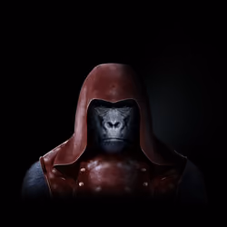 Hoodie Ape #04