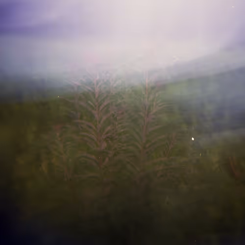 Shot On Holga