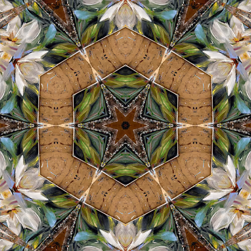 Item #68926149186134342892429898681651910528467495506184414078323304733428720599041 Media