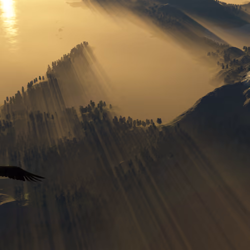 MountainTremble