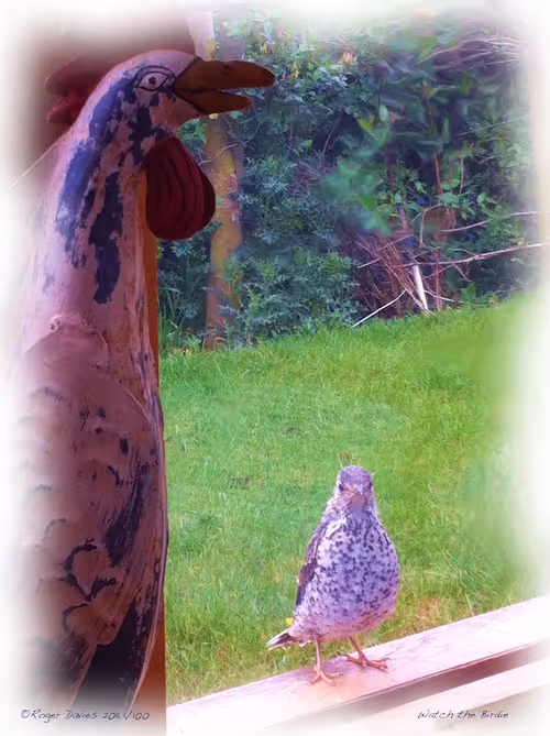 Item #6968899724388266606176016145545160509277227480062482001621938558921315713124 Media