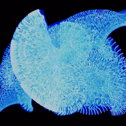 45731211464929816441170859700976373292149702980452148839612469051263167758337