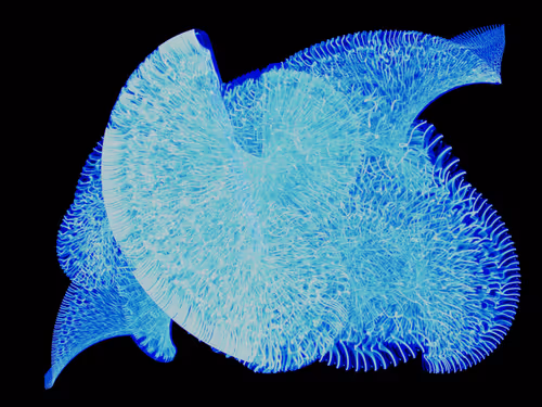 Item #45731211464929816441170859700976373292149702980452148839612469051263167758337 Media