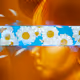8016489092393078676413096270445946055209726332548987031866656835097111560193
