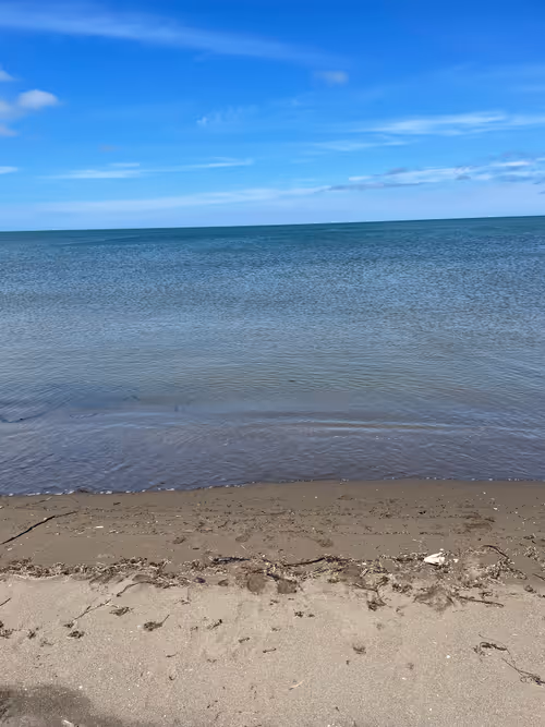 Item #62663240294021786701022348350090356522773778598858273444629078808560415014913 Media