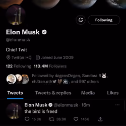 The bird is freed
