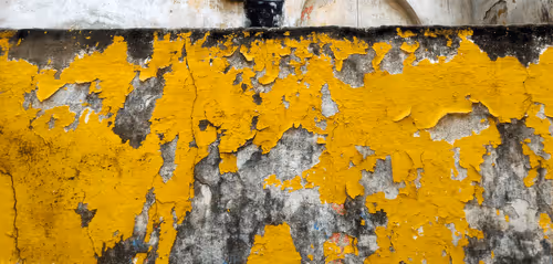 Item #77837778009088564188174628045169397065653229955612462896383264959330449883137 Media