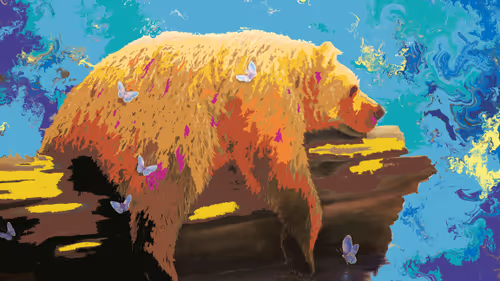 Item #17517966852783725617978653951526954621711251070582323179474410625727041896449 Media