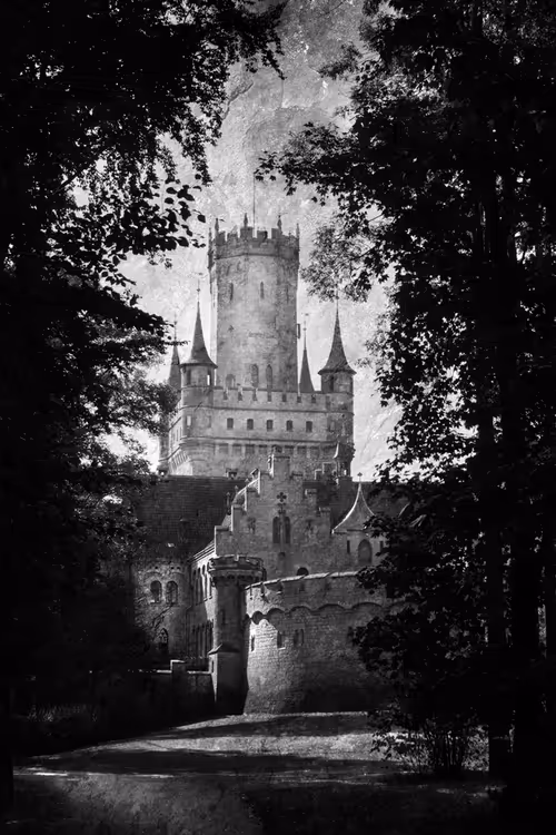 Item #40160686583094733528677484039903516258611509642019211679321071508947235504129 Media