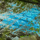Untitled (Killary water) 1/50