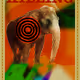 25107637867750676569658588512090230319489773608347710104475098703231746834433