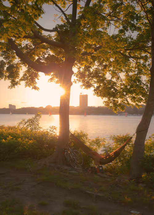 Item #91642827889227561886053898731104938405372263547258371444239634045241667878913 Media