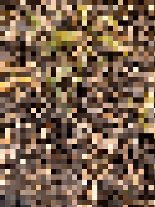 Item #2850415134272365380187775685678842410458265265709128331682257617326444642305 Media