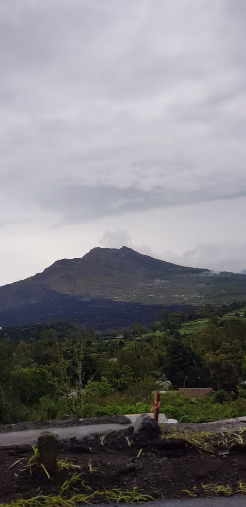 Item #22612595145859195787184151102778105107175580313845632796930748148299738382337 Media