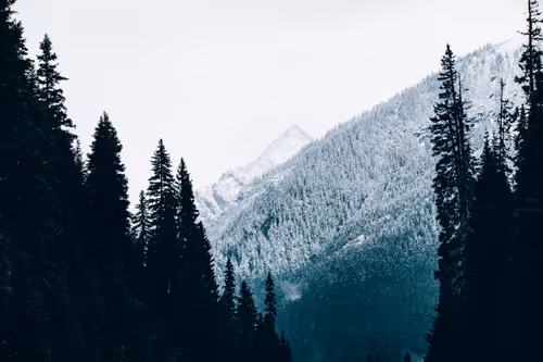 Item #63454844605715267947314910232292346032056647728766809663184741548369414979585 Media