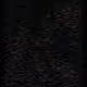 46922239658159811737543541864886293005980350845066259877862004498616394186753