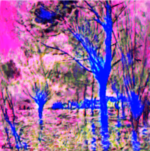 Item #68021718446599202869014630906929087708325619493852001294243303255191528144897 Media