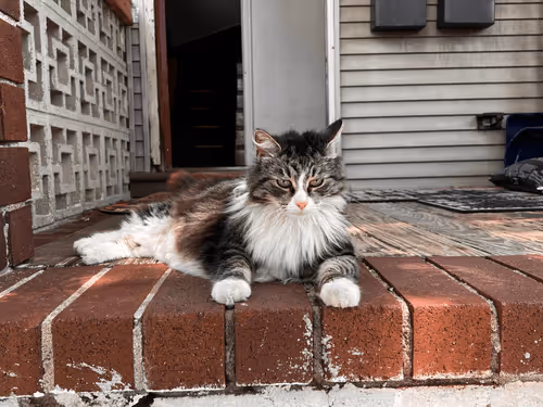 Item #1558415611179908157825303263242469701105958003249245582265085159701494104065 Media