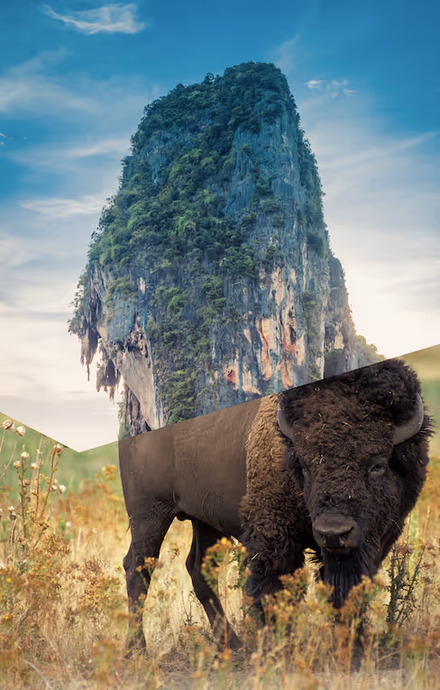 Item #68956660455802920949406474332140117379218782181167192068464389522412955238401 Media