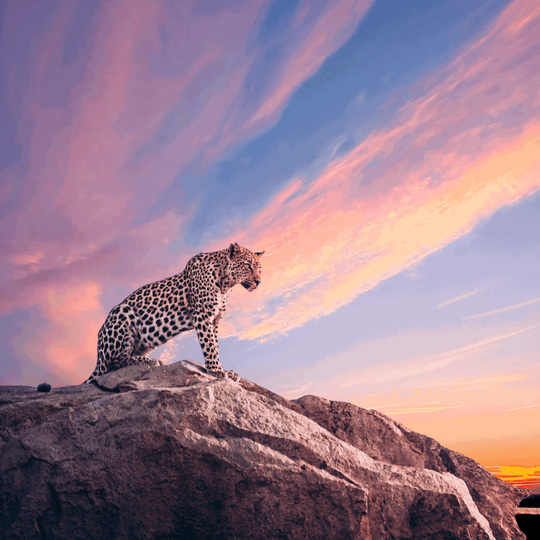 Chasing sunsets