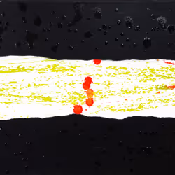 74562480378278623051395220323948803574566476597122503398009606932488064598017