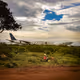 The Airport - NEXUS I