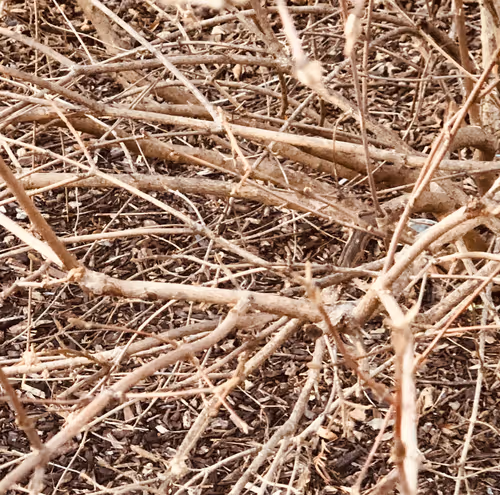 Item #5985210497355107417265215381210579199842884272282595265964883340741702582273 Media