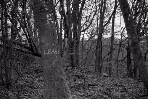 Item #106126435747361760478255485780352519166561968959024906964316827668423458684929 Media