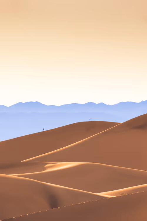 Item #39071023685345521589531013450918722216572370939070752972983331679510179348481 Media