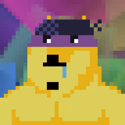 CryptoShibe #2894