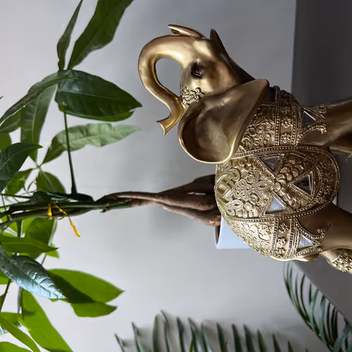 Untitled Collection #20731063