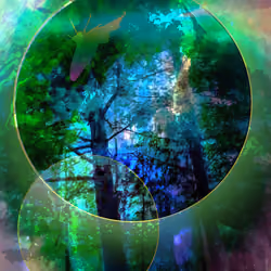 Eternity's Vision #1