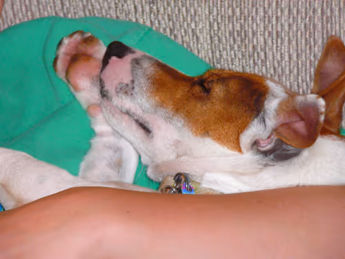 Item #5985210497355107417265215381210579199842884272282595265964883369329004904449 Media