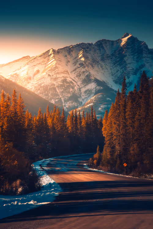 Item #62546128571173573861370652936856218284243546780344801453551937531112083947521 Media