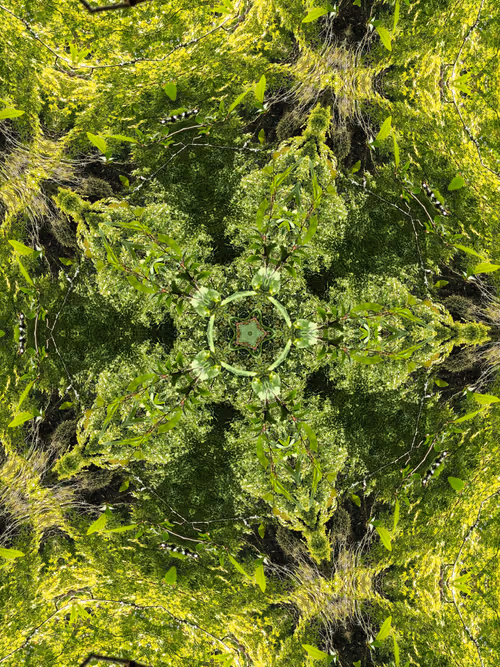 Item #44463940885722685588773399586151923865743850503519844274350657402709431287809 Media