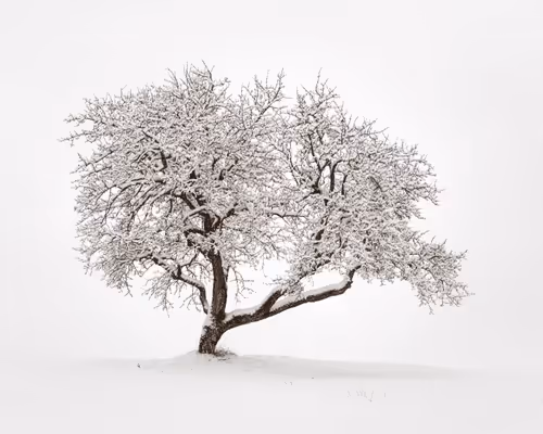 Item #82038507178112004707132471695972498506825775528903589266831690691963995029505 Media