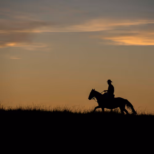 Item #45820235691050181267682825220505432361661309774887033428539182062792939143169 Media