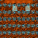 55860224938085630042297357848007026744914888463498532836798339264249421889542