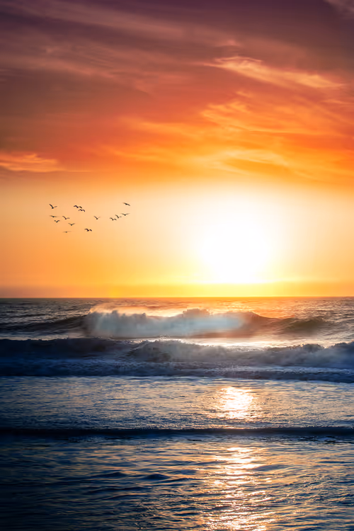 Item #28249669150142615207579555762608265536132247185199409993543532438774576316417 Media